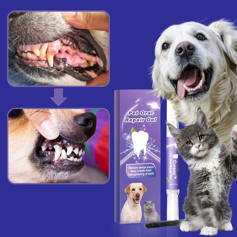 Gel Dental Renovador para Pets: Sorriso brilhante - VISUAL SHOP